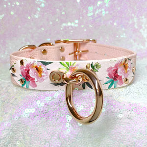 Blush Canna Print Classic Collar - Limited Edition Collar Restrained Grace   