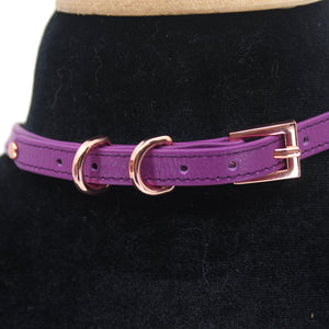 Crystal Ring of O Mini Collar in Amethyst Collar Restrained Grace   